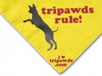 Tripawds Rule Dog Bandana