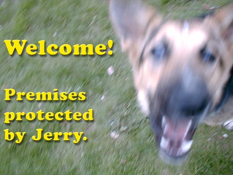 Scary Jerry Guard Dog RV Door Sticker