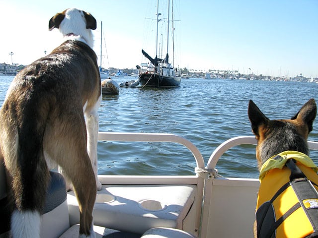 Bernie and Wyatt on Newport Harbor Cruise