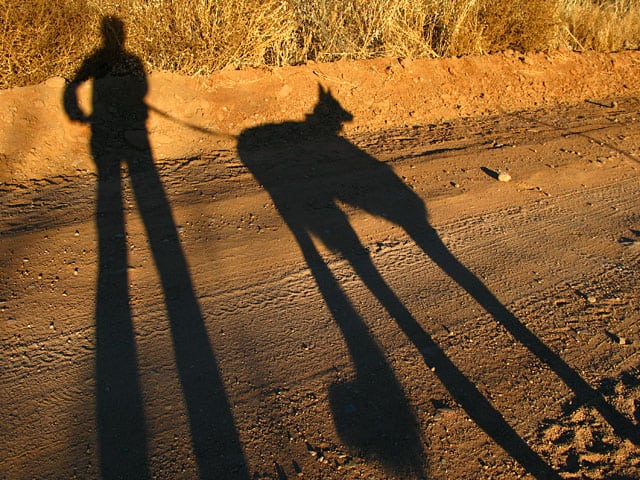 Wyatt and Rene Arizona Desert Shadow