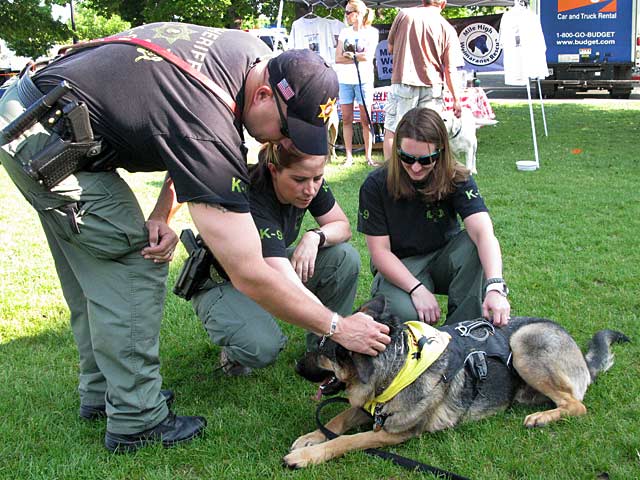 Wyatt Meets Larimer County Sheriff K-9 Cops