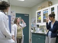MSU Vet Med Teaching Hospital Oncology Department Staff