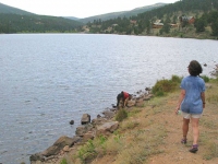 Tripawds GSD Wyatt Swims Crystal Lake