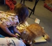 KidsAndCatsW