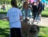 Team Tripawd at the K9K Walk