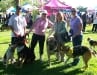 Tripawd Families Unite at K9K Walk
