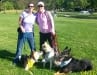 Tripawd Families Unite at K9K Walk