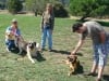 Northern California Team Tripawds