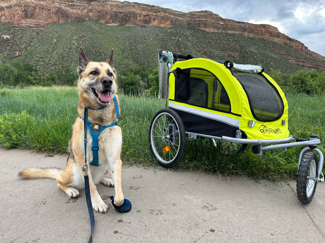 Three and a half legged Nellie loves her Booyah stroller!