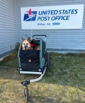 Nellie on the Go