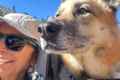 Nellie in the Burley Bark Ranger Dog Stroller