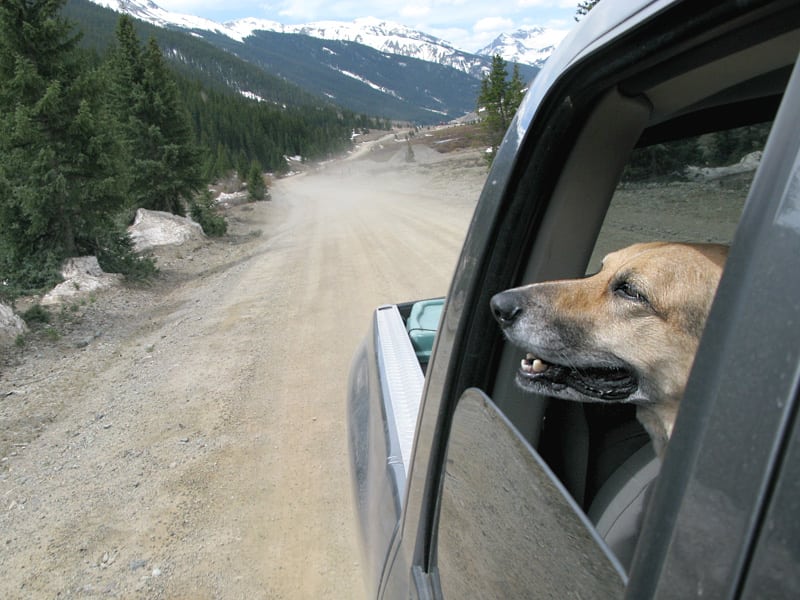 Breathing fresh air along the backroads near Silverton, CO