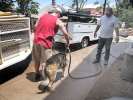 Cooling off in Jerome, AZ