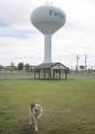 At a Dog Park in Fargo, ND