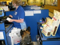 Wyatt checks out with new dog food