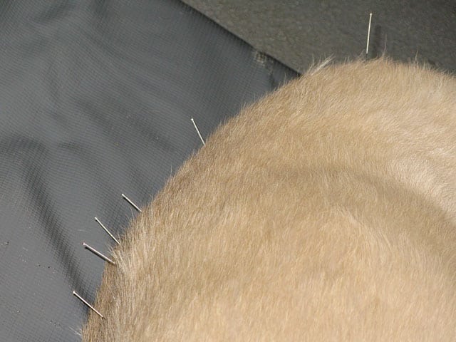 veterinary dog acupunture