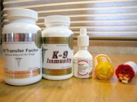 Metronomic Therapy drugs