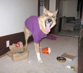 Get Well Presents From Aunt MC