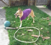 Playing Outside Days After My Surgery
