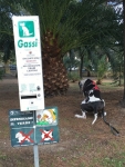 Tripawd goes potty