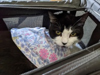 PXL_20220610_202956603.MP_