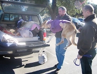 Going Home from UC Davis Vet Hospital