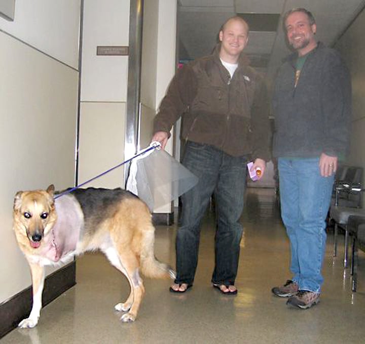 Jerry at UC Davis Vet Hospital