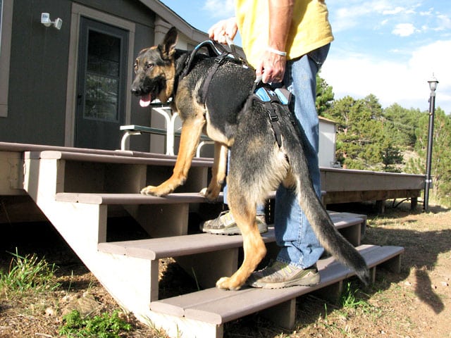 help em up dog harness for rear end legs support