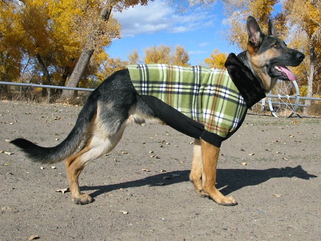 Wyatt models Fido Fleece Dog Coat.