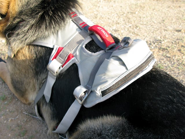 Tripawds Ruff Wear DoubleBack Harness Review for Front-Leg Tripod Dogs