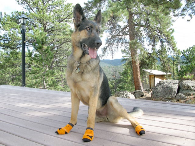 Dog Socks, Anti-slip Dog Socks, Dress Code