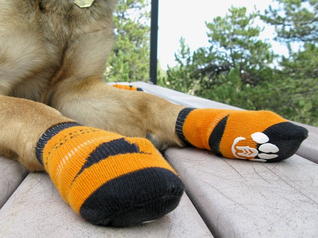 Power Paws Non-Slip Dog Socks