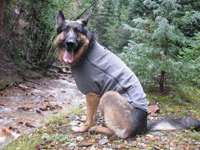 Climate Changer™ Dog Fleece Sweater