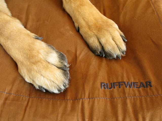 Ruffwear Urban Sprawl Best Bed for Dog Amputees from Puppies to