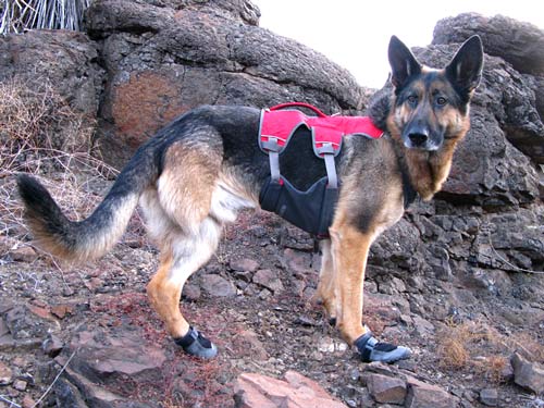 Dog booties with outlet grippers