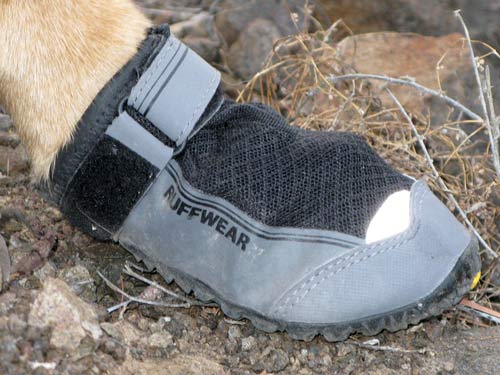 Tripawd Dogs Will Find Grip Trex Dog Boots Better Than Ever