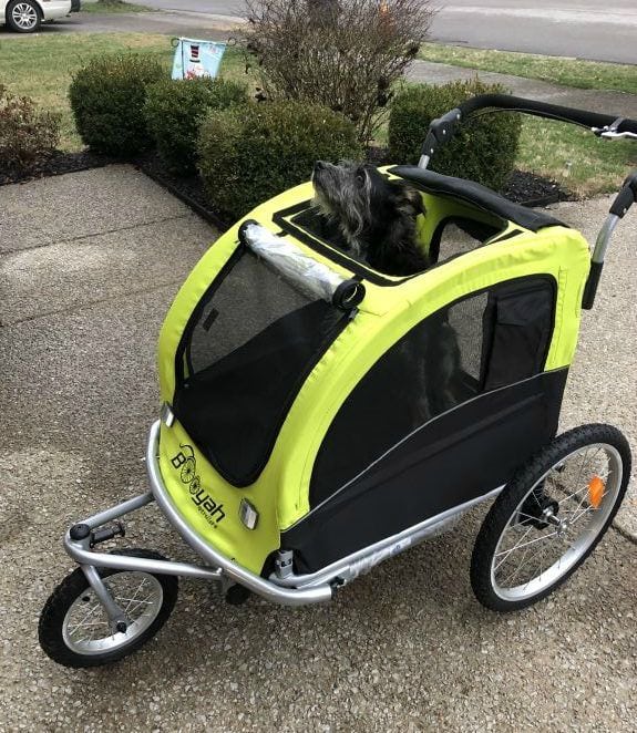 Tripawd dog stroller