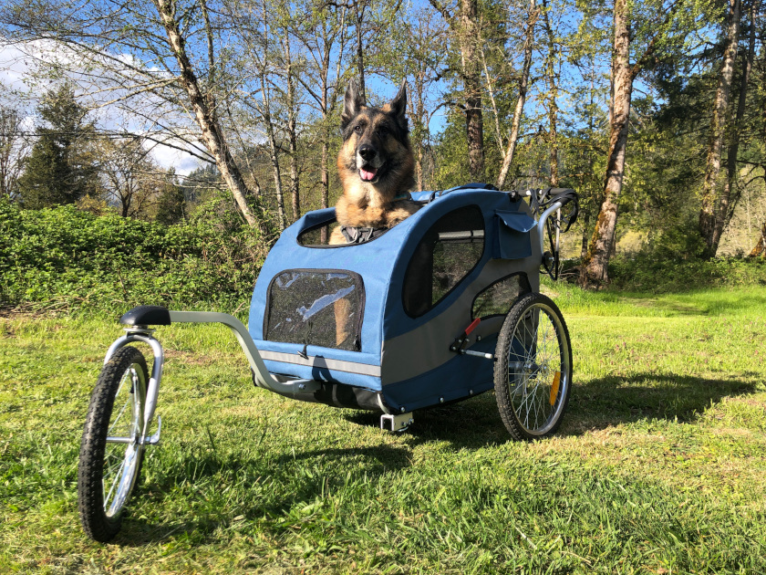 Tripawd dog stroller