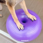 FitPAWS Trax Donut Dog Exercise Ball