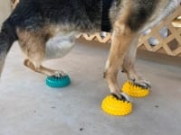 FitPAWS Paw Pods