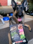 Wyatt loves Merrick Grain Free dry dog food