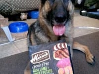 Wyatt loves Merrick Grain Free dry dog food