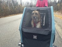 Nellie Bark Ranger Testing