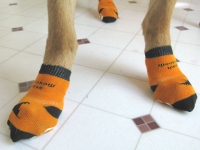 Power Paws Traction Socks for Dogs Slippery Floors Help