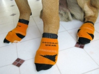 Power Paws Traction Socks for Dogs Slippery Floors Help