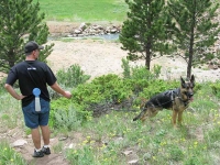 Keep dogs hydrated with the Water Rover bottle!