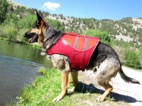 Wyatt Models Ruff Wear Float Coat Dog Life Jacket