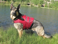 Wyatt Models Ruff Wear Float Coat Dog Life Jacket