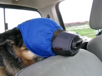 Wyatt is calm in car with his Calming Mask