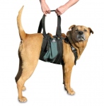 AST Get A Grip Harness